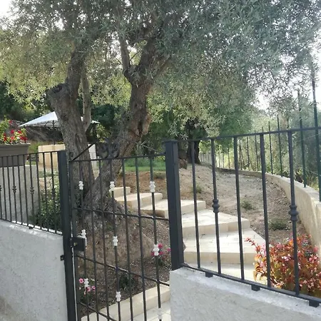 Terra Barocca